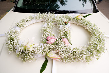 Similar image 278997