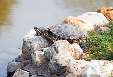 Similar image 279000