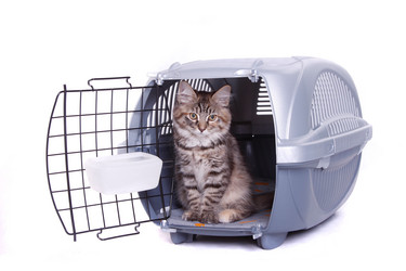 Similar image 279008