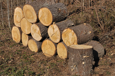 Similar image 279023