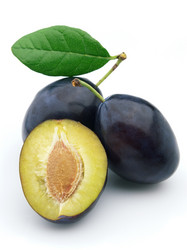 Similar image 279071