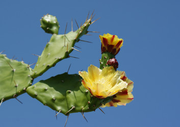 Similar image 279093