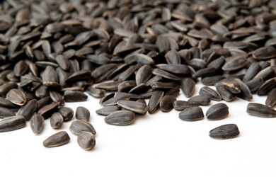 Similar image 279095