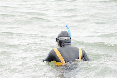 Similar image 279116