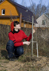 Similar image 279121