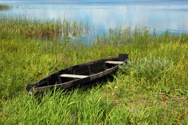 Similar image 279132