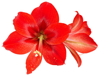 Similar image 279203