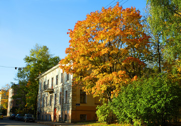 Similar image 279233