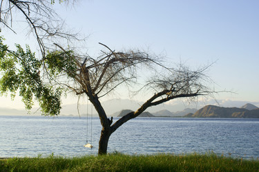 Similar image 279236