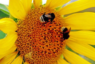 Similar image 279267