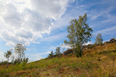 Similar image 279305