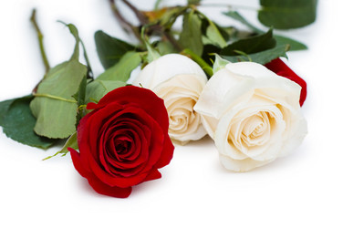 Similar image 279306