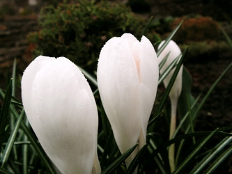 Similar image 279307