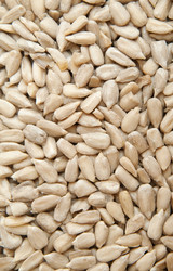 Similar image 279309