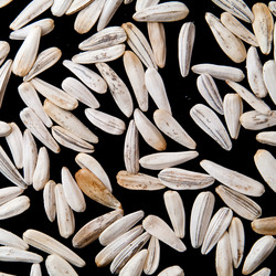 Similar image 279310