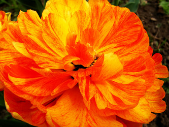 Similar image 279319