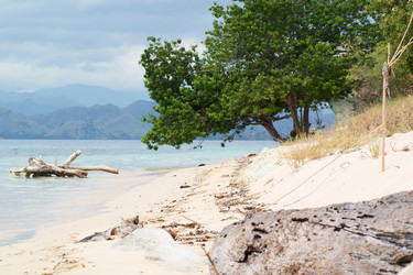 Similar image 279323