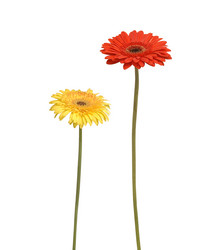 Similar image 279324