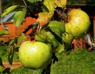 Similar image 279328