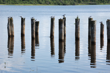 Similar image 279329