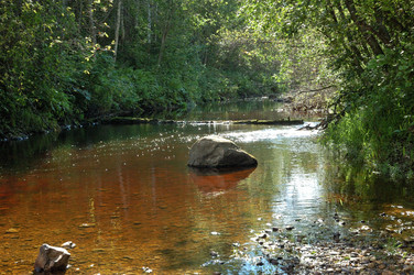 Similar image 279342