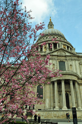 Similar image 279343