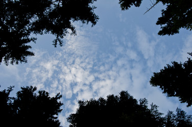 Similar image 279400