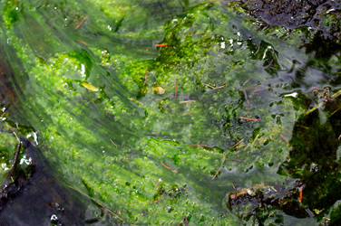 Similar image 279412