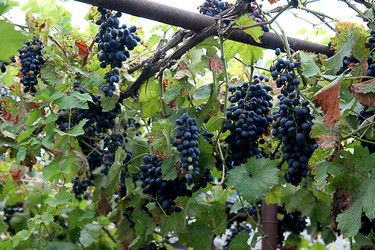 Similar image 279473