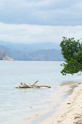 Similar image 279482