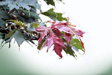 Similar image 279489