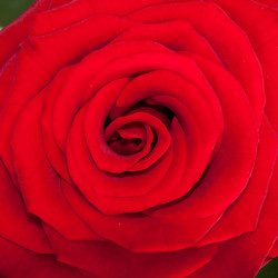 Similar image 279505