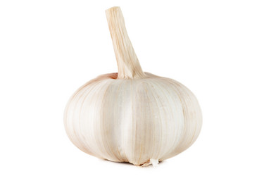 Similar image 279574