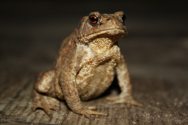 Similar image 279585