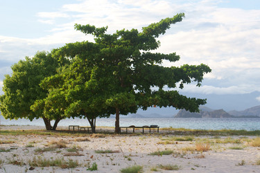 Similar image 279599