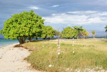 Similar image 279602