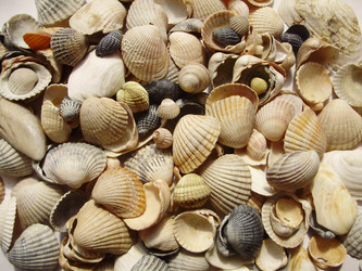 Similar image 279603