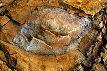 Similar image 279608