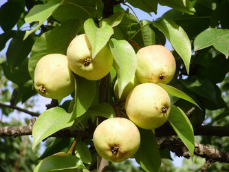 Similar image 279620