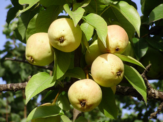 Similar image 279625