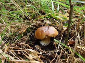 Similar image 279629