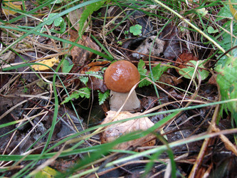 Similar image 279631