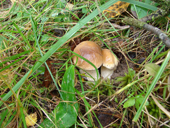 Similar image 279635