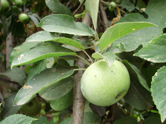 Similar image 279657