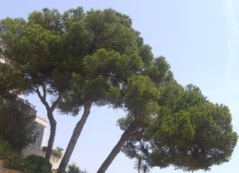 Similar image 279669