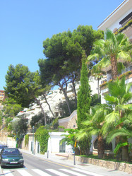 Similar image 279673