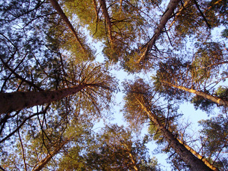 Similar image 279721