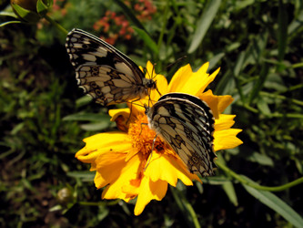 Similar image 279785