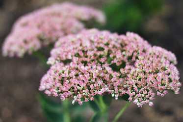 Similar image 279786