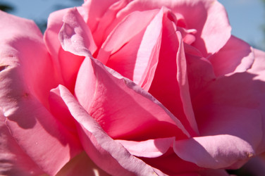 Similar image 279787